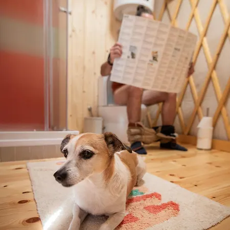 Nalunk, Videken - Jurta 24 אוהל מפואר Asvanyraro