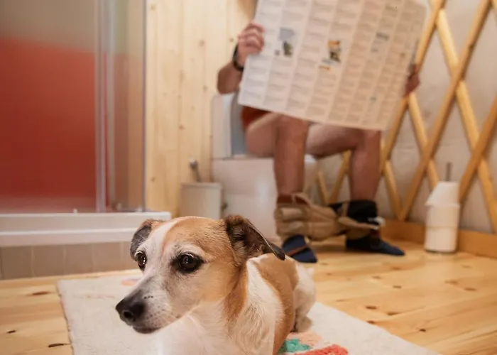 Nalunk, Videken - Jurta 24 럭셔리텐트 Asvanyraro